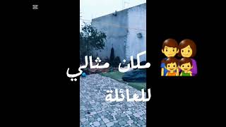 🔥 🚫 STOP !الفرصة هاذي ما تتعاودش برشا… اسمع للآخر ! Sfax #tunisie#