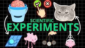The Strangest Idea in Science: Quantum Immortality
