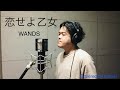 WANDS   「恋せよ乙女」   toshiki   歌ってみた