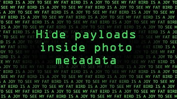 EXIF TOOL - HIDE PAYLOAD IN IMAGE