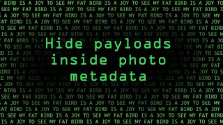 EXIF TOOL - HIDE PAYLOAD IN IMAGE