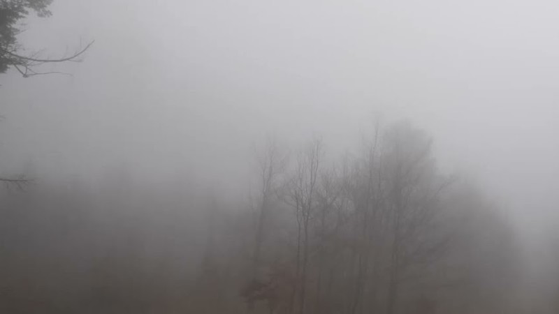 Nearn0Where X Caater Ft. Hannah – Sind Otsima Jään |  Drum And Bass Remix