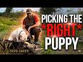 Dogo Argentino Secrets: The "Total Dog" Breeding Philosophy You Need to Know