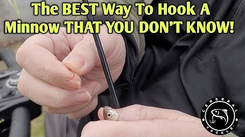 The BEST WAY EVER To Hook A Minnow (And You Don