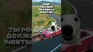 Пов: Ты Сбил Человека В Китае #Shorts #Мем #Коты