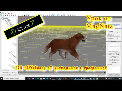 iClone 7 Уроки от MagNat Урок 175 3DXchange v7 знакомимся с программой