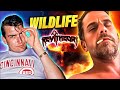 Rev Theory is going live! Wildlife video is live!!