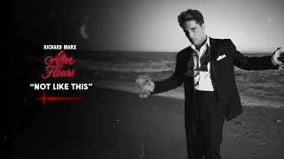 Richard Marx - Not Like This [Official Visualizer]