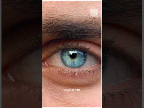 Blink of an