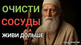Как очистить сосуды и продлить жизнь: простые шаги для здоровья сердца и мозга