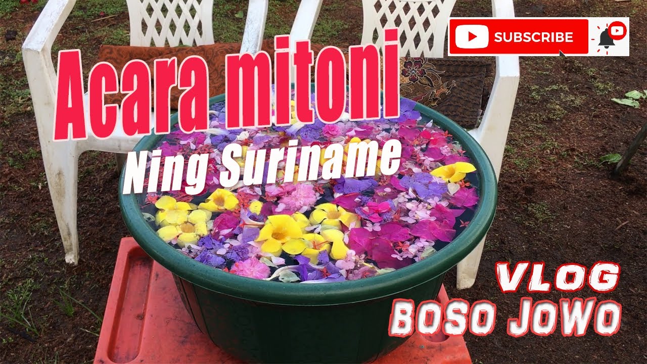 Acara mitoni ning Suriname dusun Tamansari - Vlog Jowo Songko Suriname
