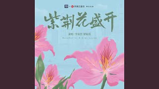 紫荆花盛开 (紫荆花盛开)