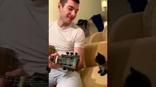 Guy serenades little kitten || Viral Video UK