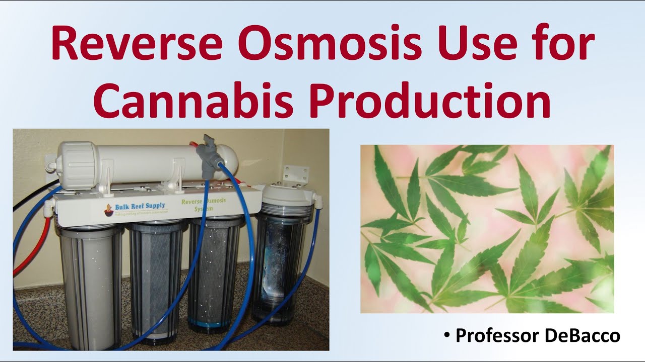 Reverse Osmosis Use for Cannabis Production