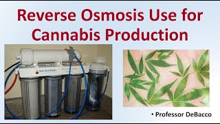 Reverse Osmosis Use for Cannabis Production Profile