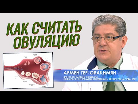 Как рассчитать овуляцию? Базальная температура, фертильное окно