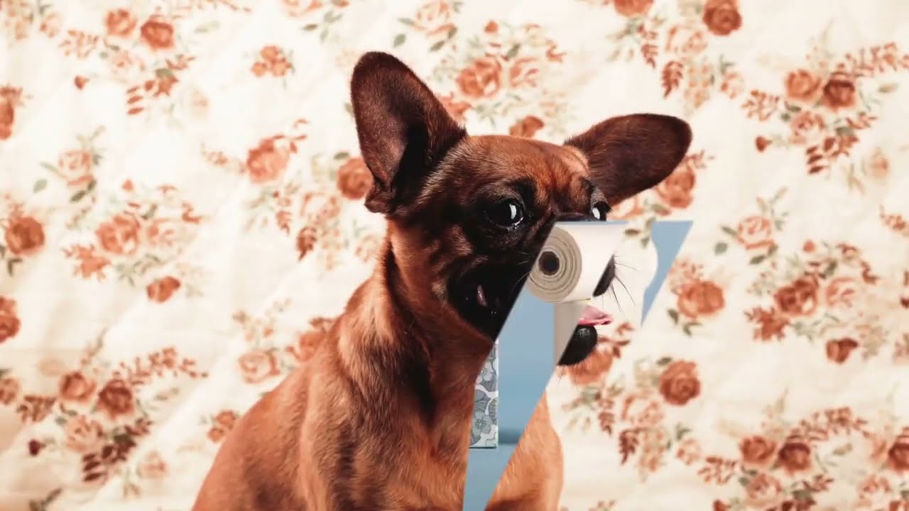 Packaging by WOODS Agency