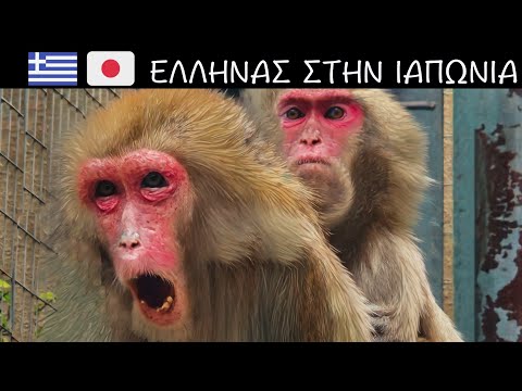 ΕΛΛΗΝΑΣ ΣΤΗΝ ΙΑΠΩΝΙΑ
