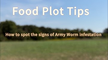 Food Plot Tips: How to spot the early signs of Army worms in your food plots.