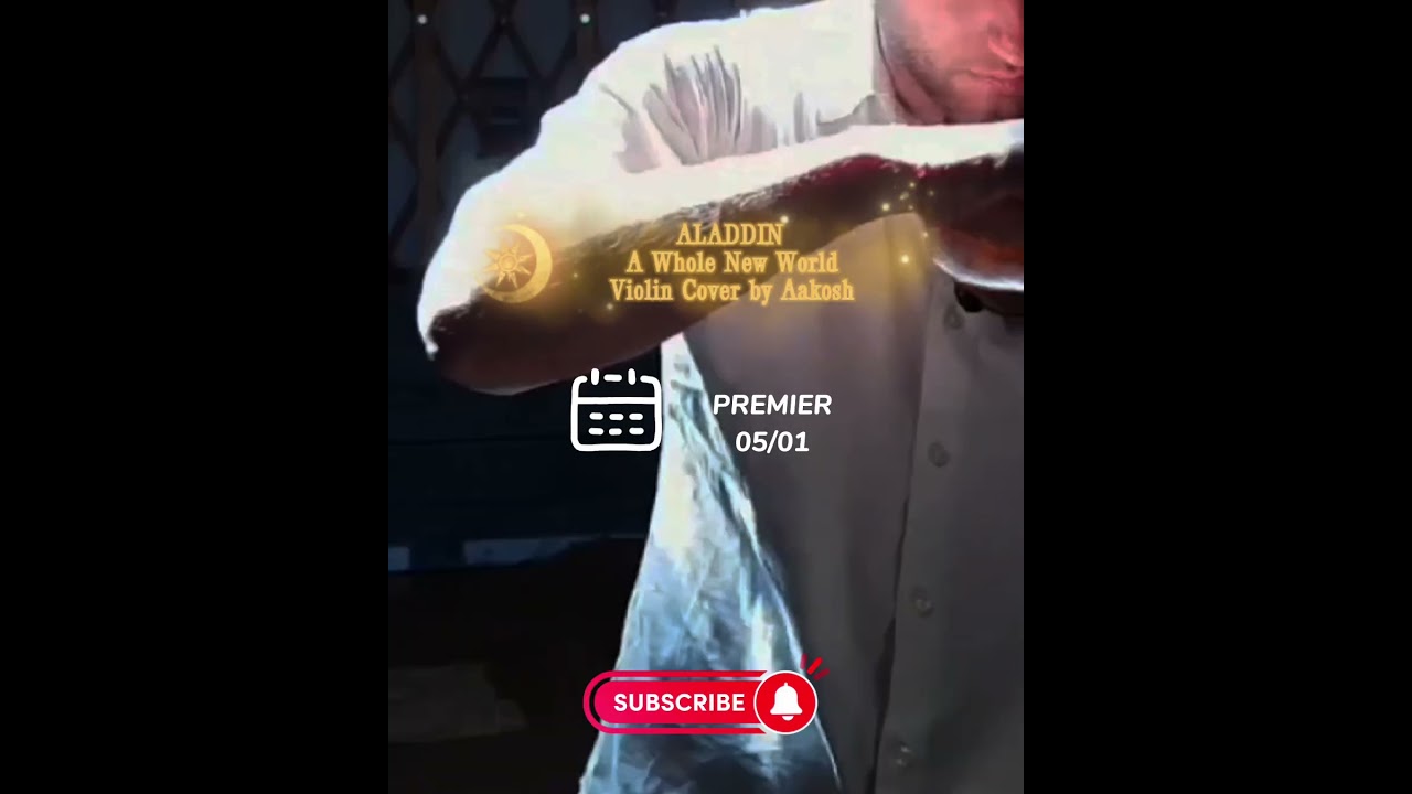 Aladdin - A Whole New World / Violin Cover by Aakosh 