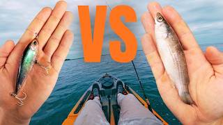 Twitch Bait VS Cut Bait | Fishing Challenge Net Worth