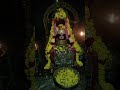 பிரதோஷம் வழிபாடு#travel #shots #tamil #love #god .#tanding .