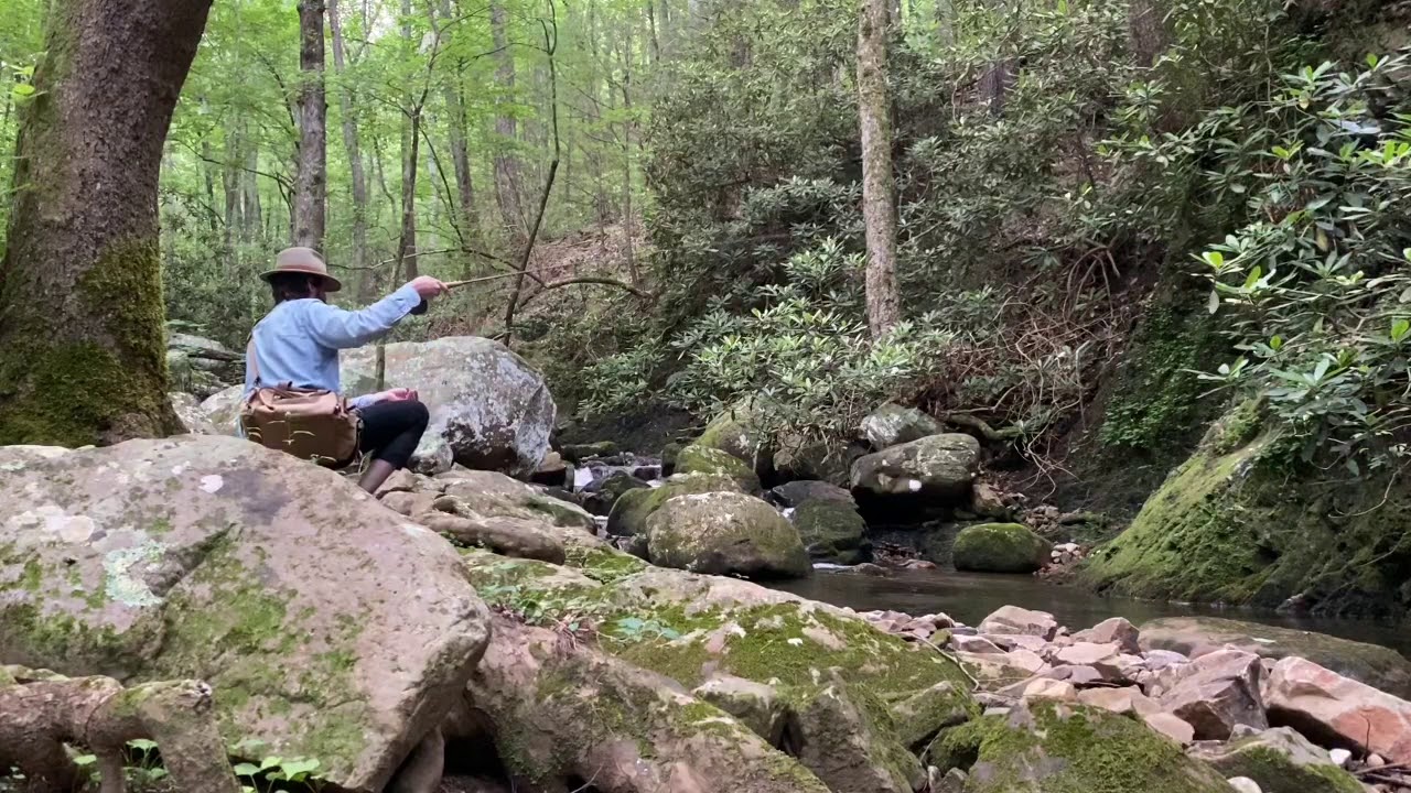 Fly Fishing Gee Creek Cherokee National Forest June 2020