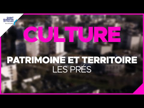 Miniature vidéo YouTube