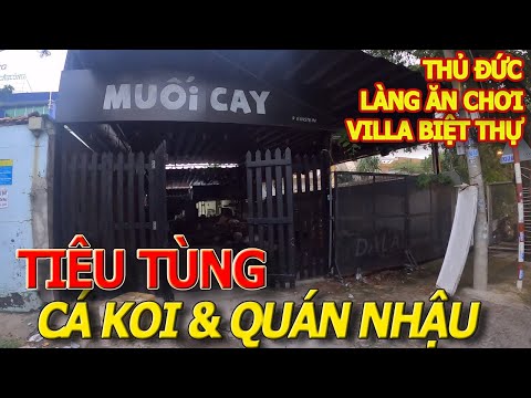 Sập tiệm CÁ KOI & đóng cửa QUÁN NHẬU - tình hình LÀNG VILLA & BIỆT THỰ NHÀ GIÀU THỦ ĐỨC chiều mưa