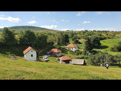 Video: Kovane Sjenice (54 Fotografije): Ažurni Vrtni Proizvodi S Roštiljem, Ekskluzivni Modeli S Kovanjem, Kako Ga Urediti Jednostavno I Lijepo