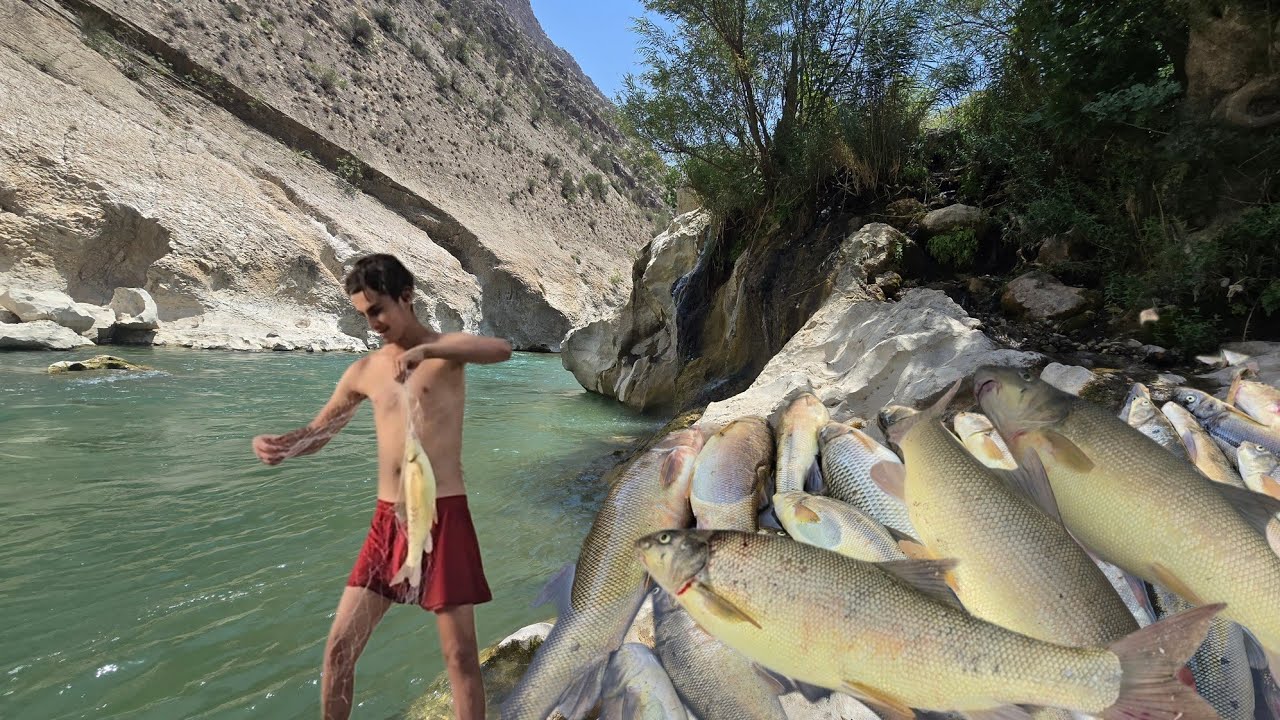River fishing: a breathtaking adventure to catch giant fish - YouTube