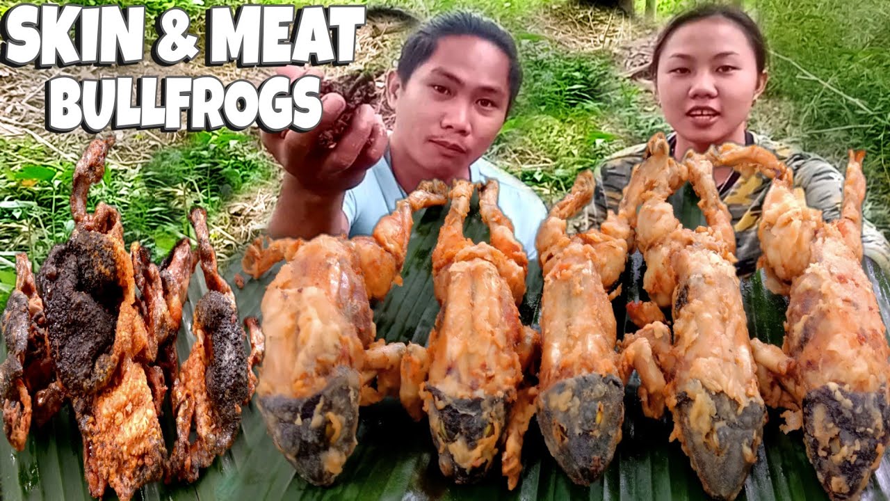 SKIN & MEAT BULLFROG CRISPY FRIED EXOTIC BULLFROG SO DELICIOUS YouTube