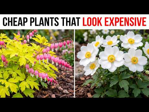Affordable Landscape Gardeners Near Me Reviews