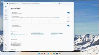 How to Install the New Microsoft Store on Windows 11