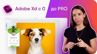 картинка: [WOW-курс] Основы Adobe Xd и веб-дизайна за 33 минуты для начинающих и не только (2024) + Практика
