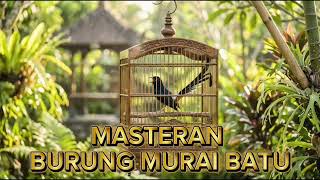 MP3 MASTERAN BURUNG MURAI BATU 