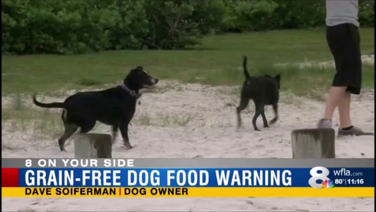 FDA Warning Grainfree dog food may cause heart disease YouTube
