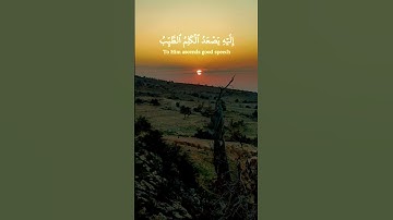 القارئ عبد الباسط عبد الصمد صاحب الحنجرة الذهبية رحمه الله #اكسبلور #عبدالباسط_عبدالصمد #duet #لايك