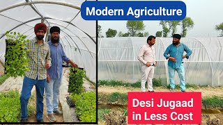 ⁣Mini Polyhouse Benifits, cost & Management at @modernagriculture567