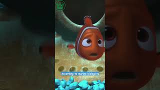 Did you catch this in Nemo 