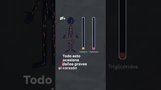 Grasas trans, causa principal de enfermedades cardiacas - N 