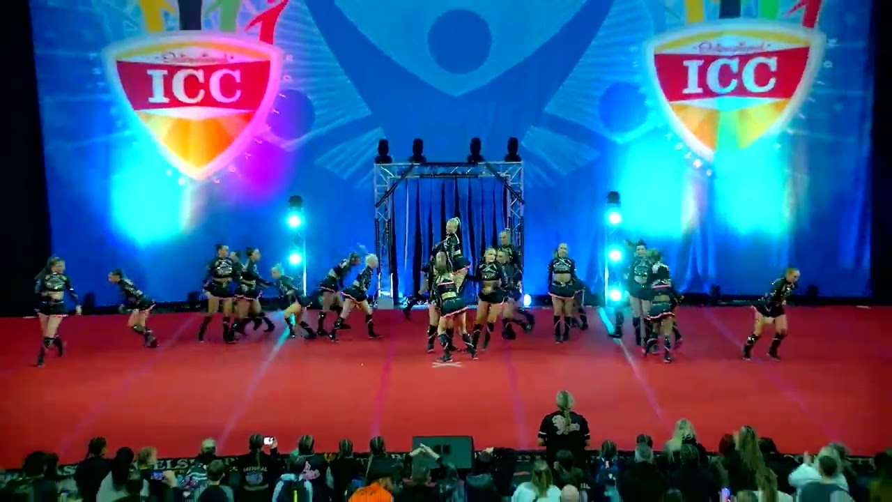 196 Zodiac Allstars Pink C 23 International Open L5