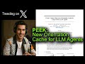 PEEK: New Orientation Cache for LLM Agents