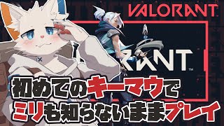 【VALORANT】初キーマウで新たな戦場に行く【旅猫シロ/ケモノVtuber】