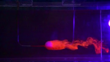 Flow visualization in a water channel