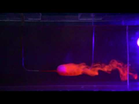 Flow visualization in a water channel