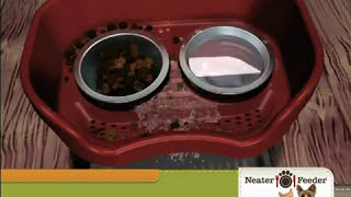 Does Your Pet Turn Into a Messy Monster at Feeding Time? - Neater Feeder (TV Commercial 2013)