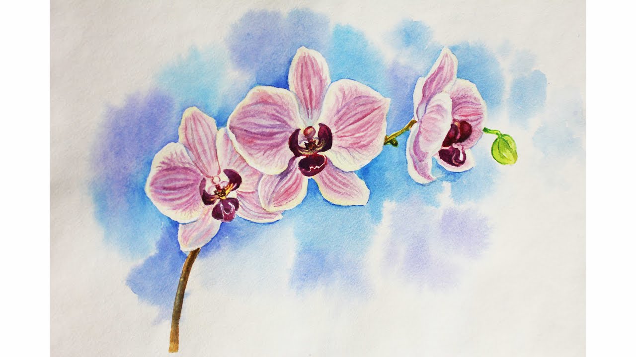  Drawing lessons. How to draw an orchid whatercolour flower - YouTube