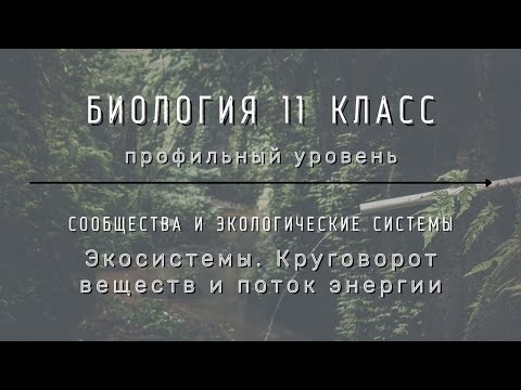 Биология 11 кл Теремов §58 Экосистемы. Круговорот веществ и поток энергии