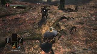 Host Uses Alt F4 Dark Souls 3